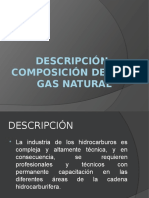1 Descripción Composición de GN(1).pptx