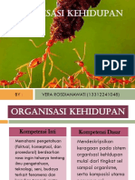 Organisasi Kehidupan