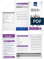 Triptico RISE PDF