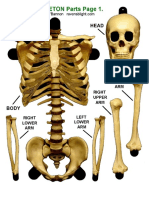 12 Inch Skeleton