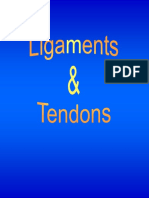 tendon lig.pdf