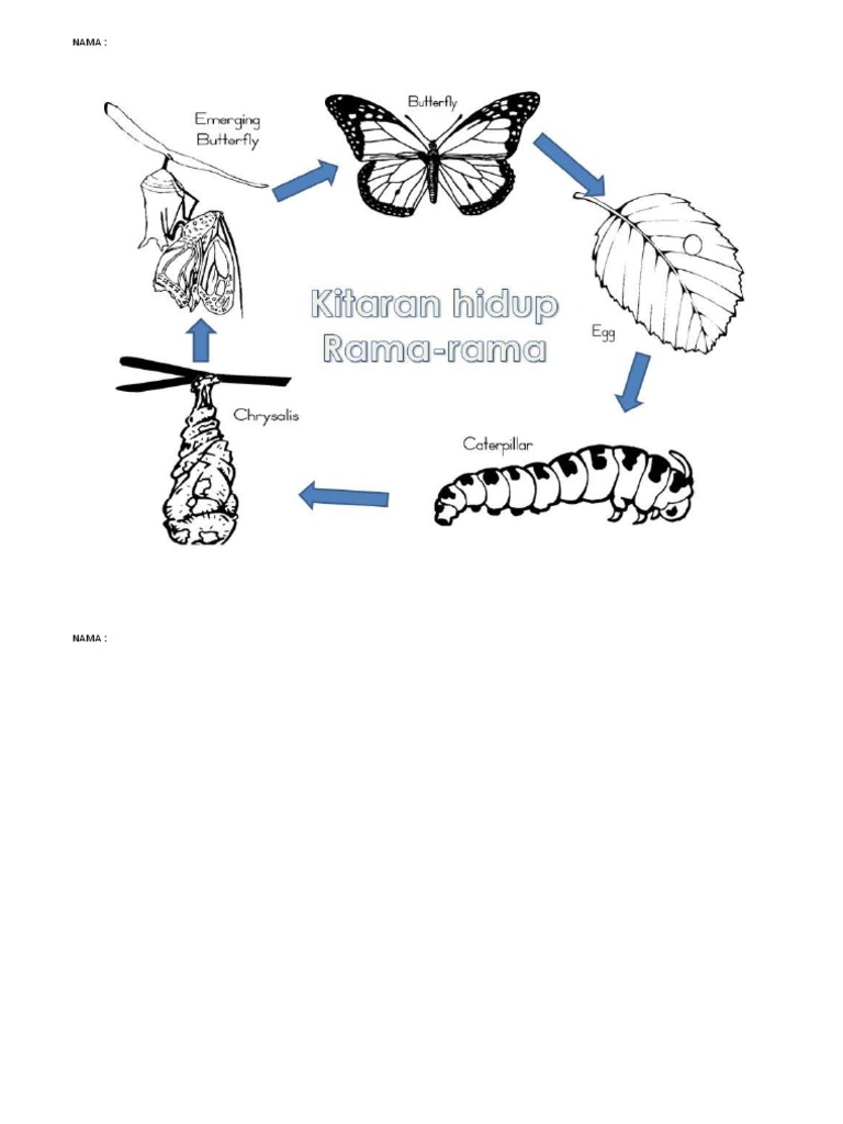Lembaran Kerja Pdf