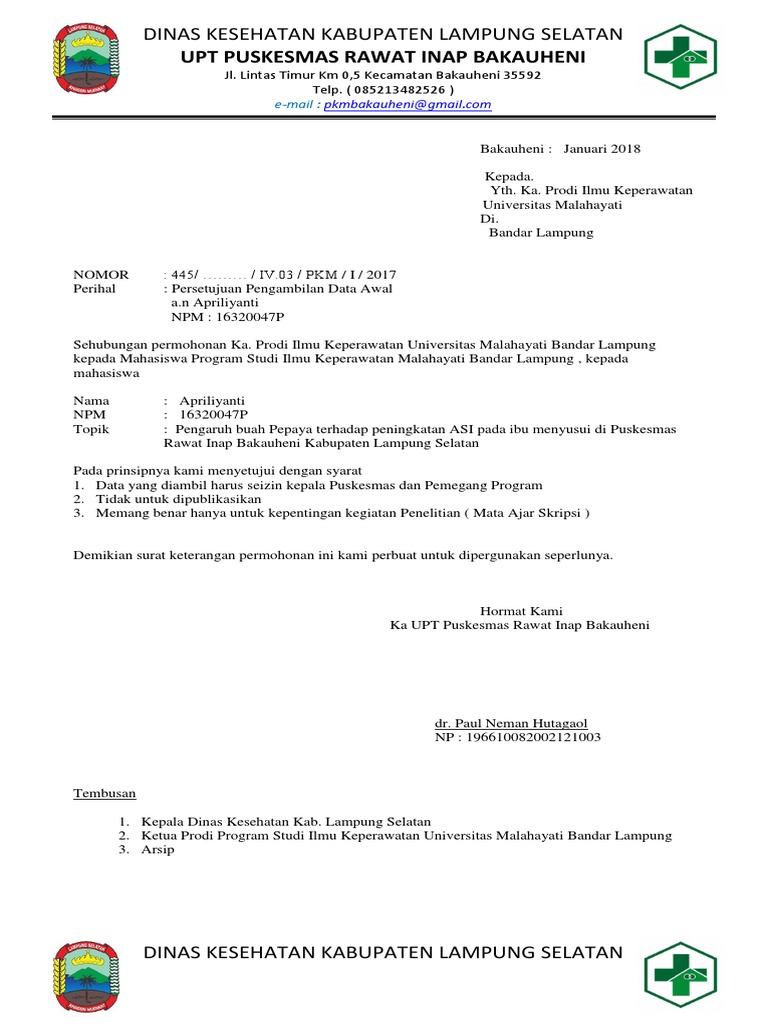 Kop Surat Dinas Kesehatan Kabupaten Lampung Selatan