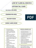 Process Flow of Clinical Service Antenatal Care: Information Area