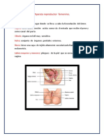 Aparato Reproductor Femenino y Mitos