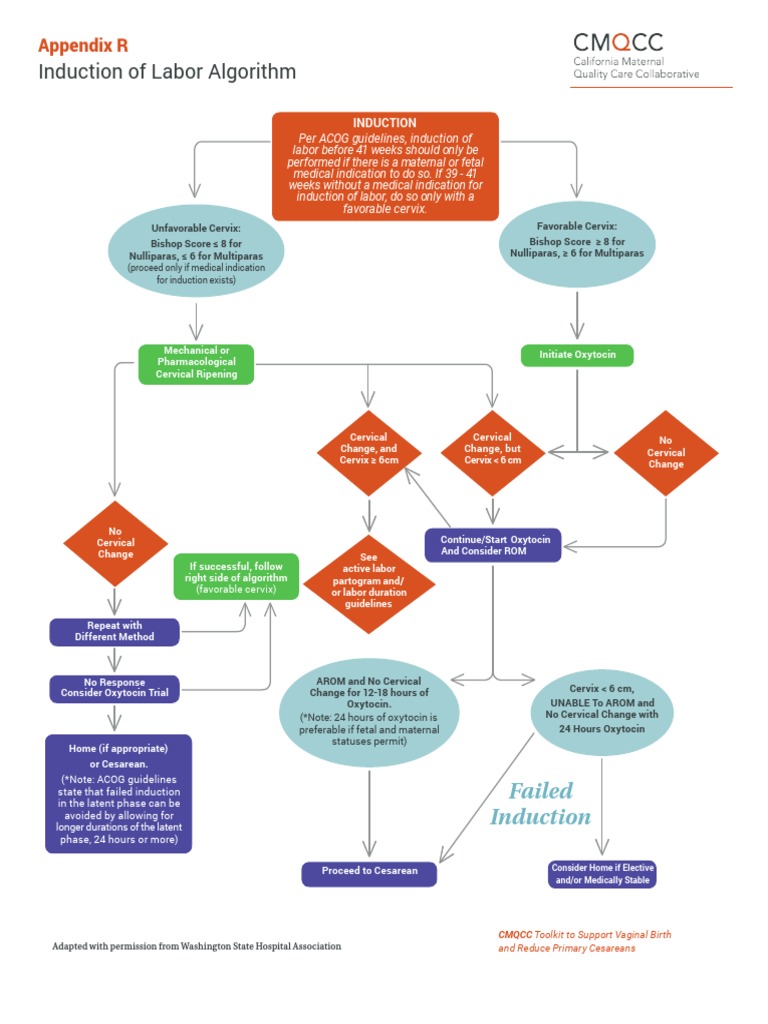 Induction of Labor Algorithm: Appendix R | PDF | Childbirth | Women's ...