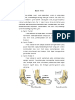 Sprain Strain2