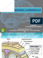 Lcs & Hidrosefalus Referat - Puji Yunisyah