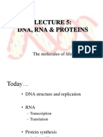 Dna, Rna & Proteins: The Molecules of Life