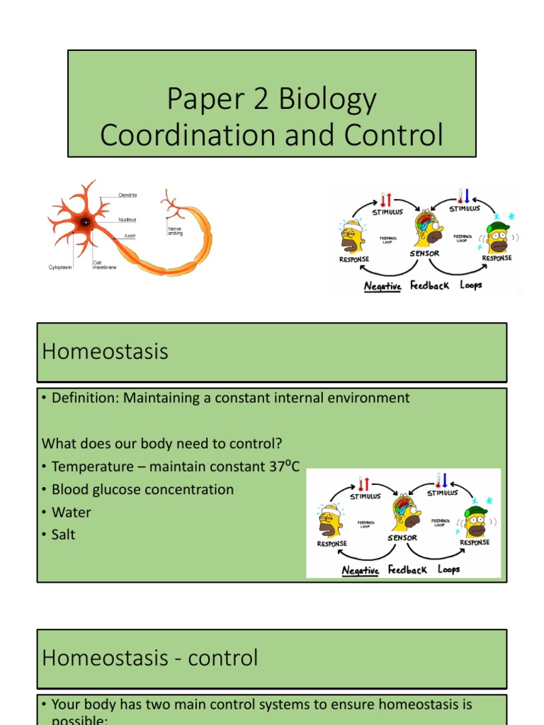 Coordination and Control in Biology | PDF | In Vitro Fertilisation ...