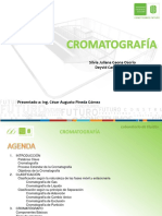 Cromatografía Exposicion
