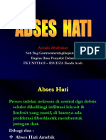 ABSES HATI-Syt