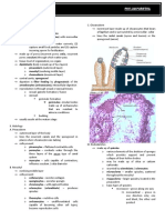 Invertebrate Zoology - Phylum Porifera