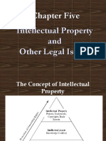 Enterpruner 5th Chapter Intellectual Property and Other Legal Issues