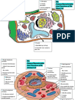 Kerja Bio 2