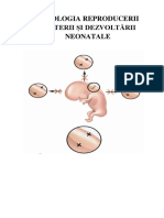 Fiziologia Reproducerii Nașterii Și Dezvoltării Neonatale