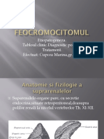 Feocromocitomul 