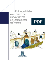 estadisticas udiciales en el marco del nuevo sistema de justicia penal 2017.pdf