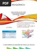 La Célula, Tipos de Célula, Tipos de Organismos