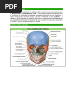 Anatomia Do Aparelho Locomotor - Vertebras