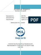 Pak elektron limited annual report 2013