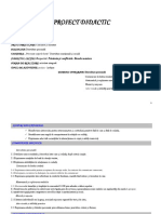 1 Proiect Didactic Dp-1