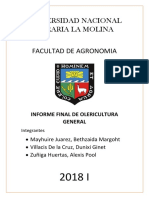 Informe Final de Oleri