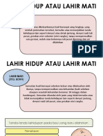 Lahir Hidup Atau Lahir Mati