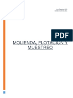 Molienda Flotacion y Muestreo