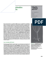 Autoinstructivo 10. Celulas Germinales y Fecundacion