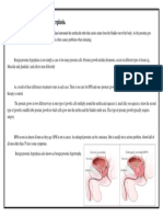 Anatomy of Benign Prostatic Hyperplasia