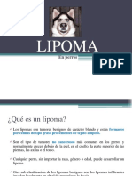 LIPOMA