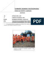 Informe Seguridad_SanMarcos_Agosto11.doc