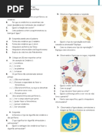 Invertebrados 7o ano