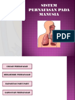 Sistem Pernafasan Manusi