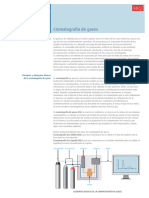 Cromatografía de Gases 19107-01316 - 120150 PDF
