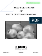 Cultivation of White Onion