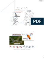 Tricks For Generating Lift:: I. II. Iii. Mechanisms Tilt Twist Camber Mechanisms