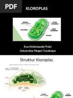 KLOROPLAS