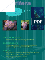 Porifera 2