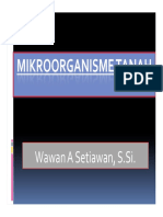 Mikroorganisme Tanah1