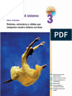 ANATOMIA DEL SISTEMA NERVIOSO.pdf