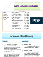 Inflamasi 4