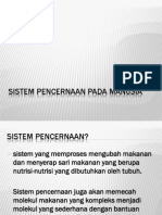 Sistem Pencernaan Ppt (2)