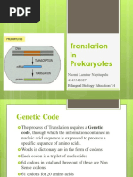 Translation in Prokaryotes