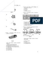 Pat f4 k1 Bio