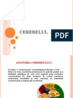 Curs 3- Cerebelul