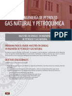 12-maestria-petroquimica.pdf