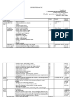 Proiect Didactic PDF