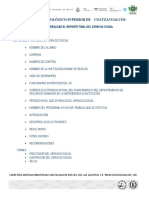 Guia Reporte Final Ssocial Logo 2017 PDF